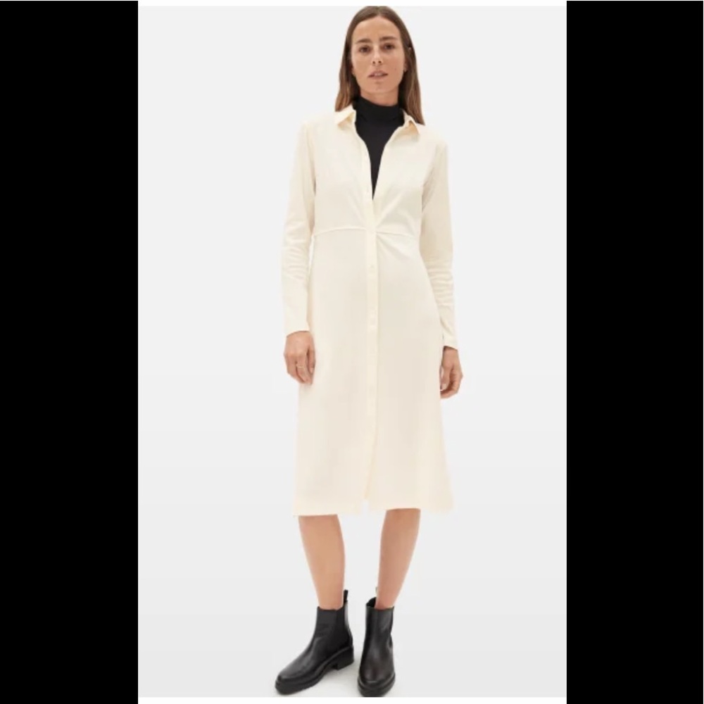 Everlane Dress